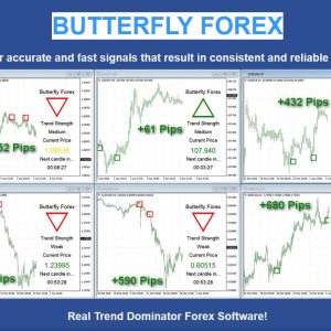 Butterfly Forex + Holo Trade Assistant EA Unlimited MT4